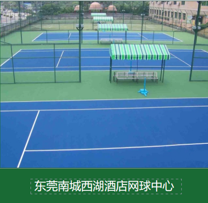 智能体育公园规划：创新场景应用如何引领运动新风潮